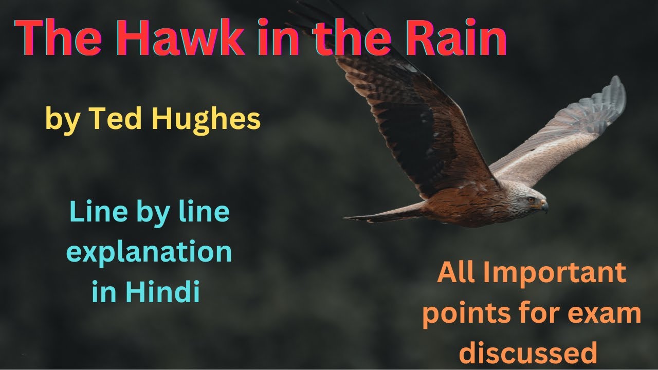 Ted Hughes The Hawk in the Rain explanation| Hindi analysis