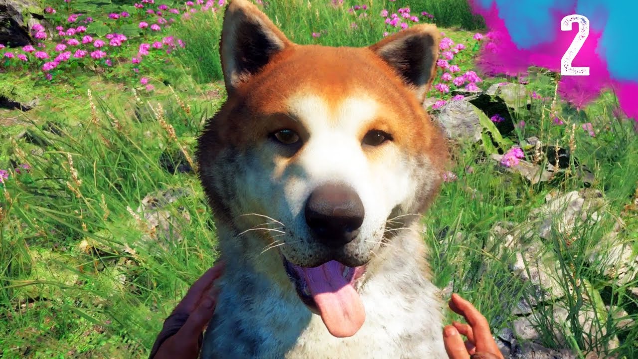 MAN'S BEST FRIEND - Far Cry New Dawn - Part 2