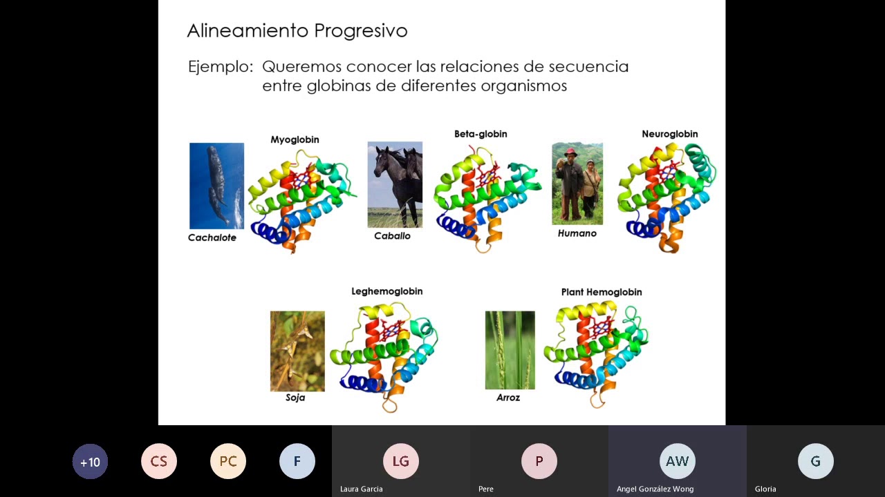 ALINEAMIENTO MULTIPLE DE SECUENCIAS. MÉTODOS, VISUALIZACIÓN E INTERPRETACIÓN. (parte I)
