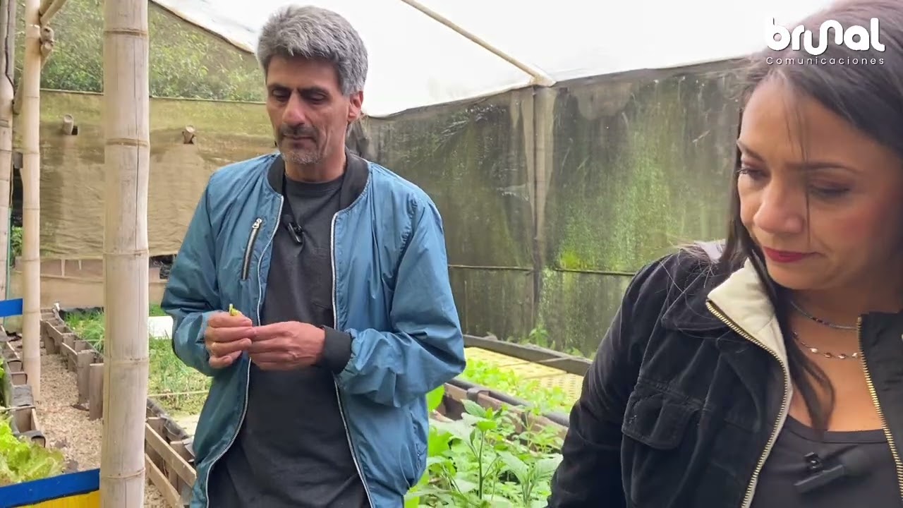 Acuaponia, una alternativa en cultivos orgánicos