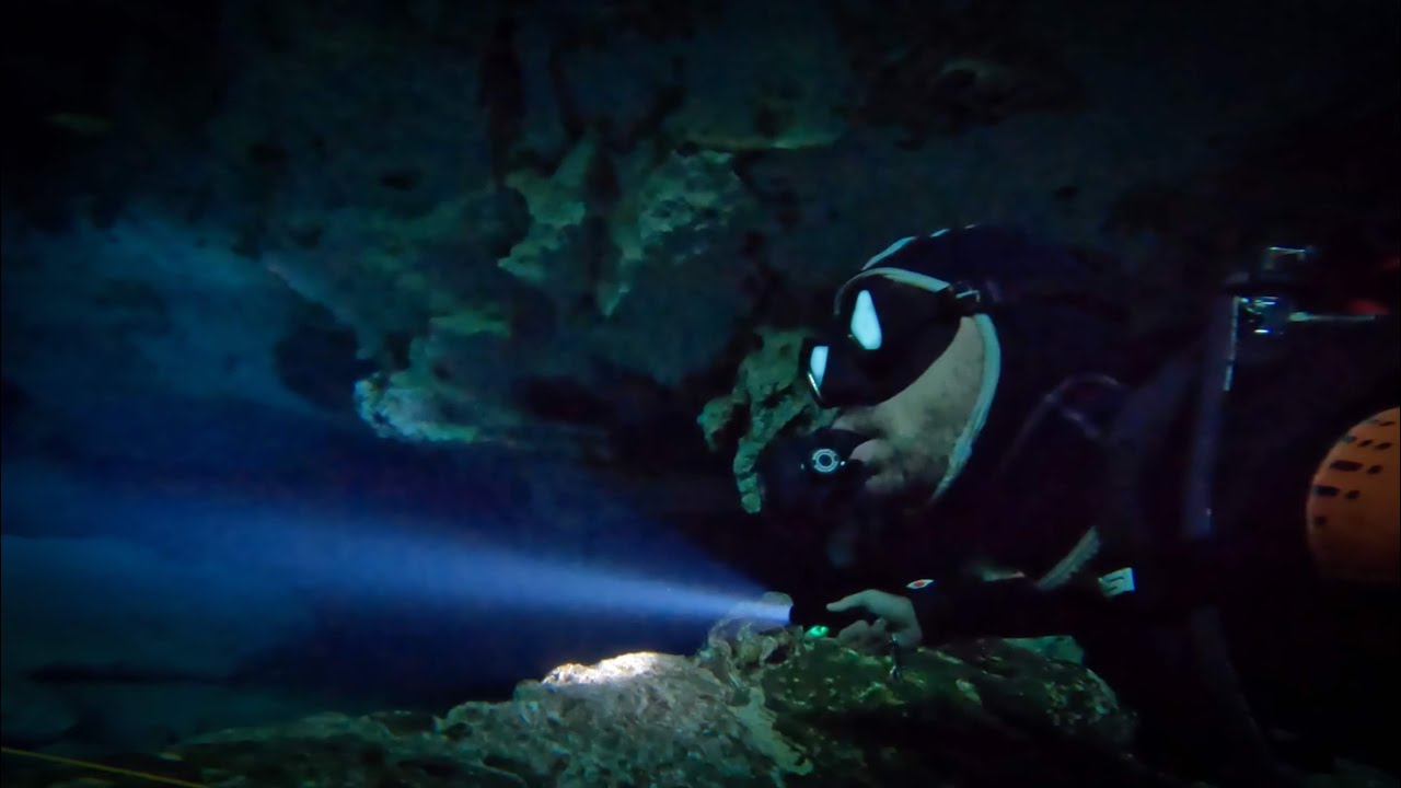 Unforgettable Cenote Dive at 