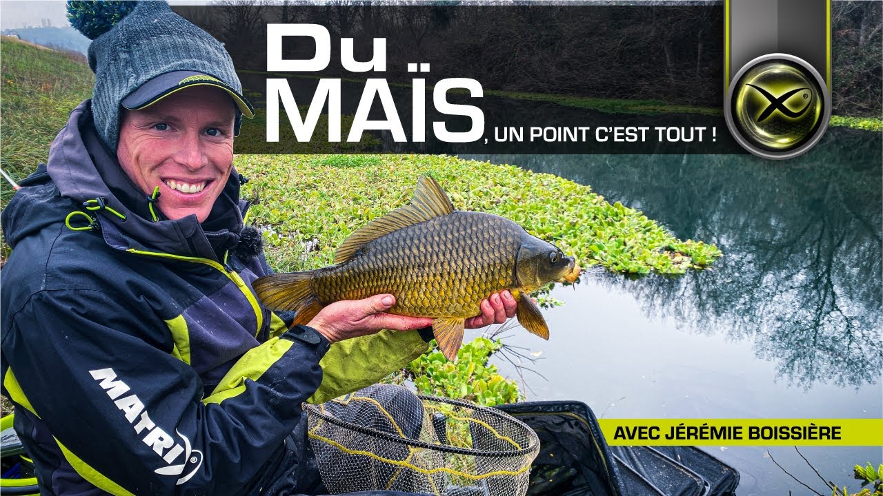 DU MAÏS, UN POINT C'EST TOUT ! Pêche de Carassins en hiver avec Jérémie Boissière - Matrix Fishing🇫🇷