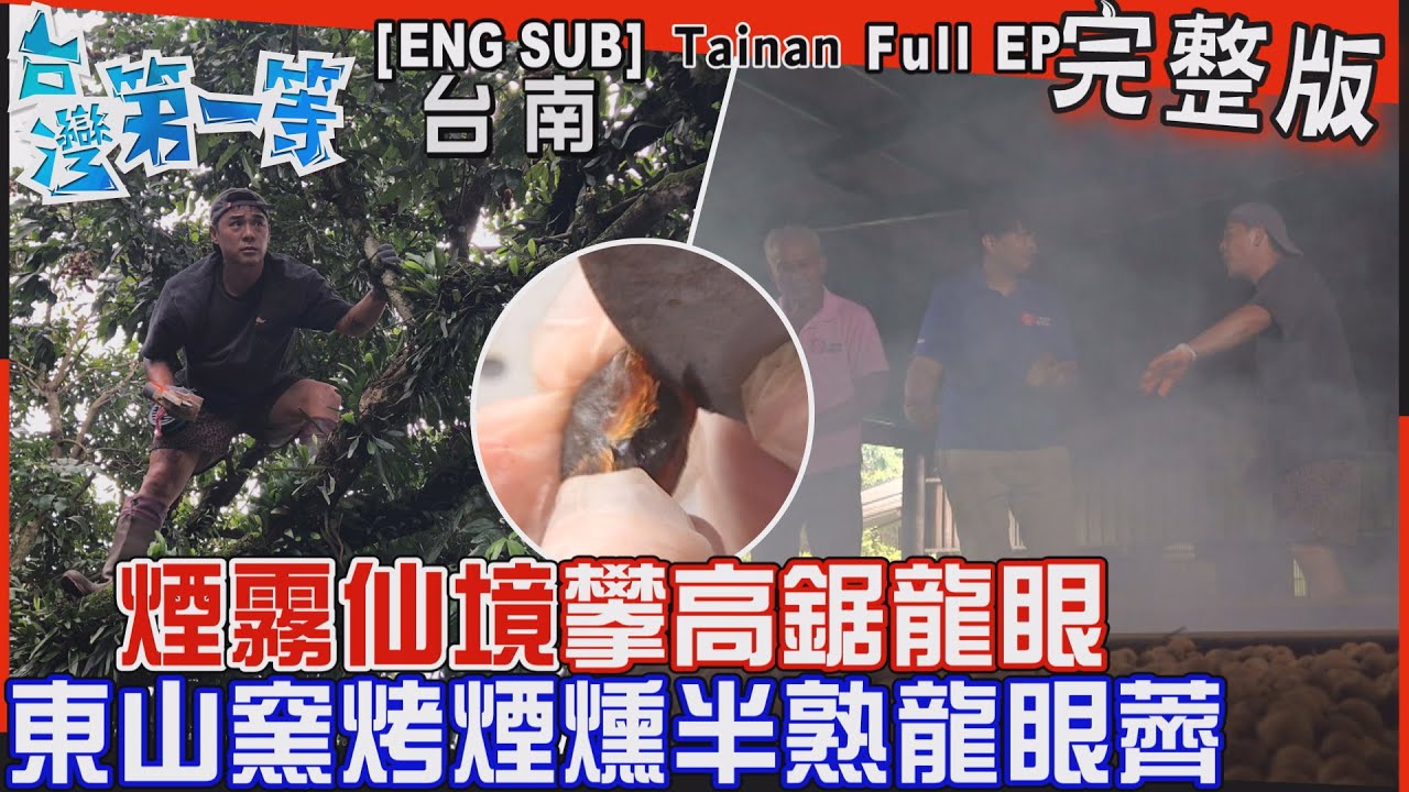 [全新] 台南【攀高