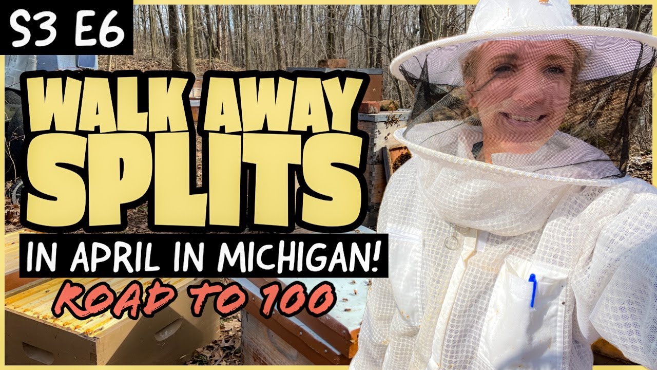 SPLITTING 24 Hives Into 55! / Beekeeping 101 #beekeeping
