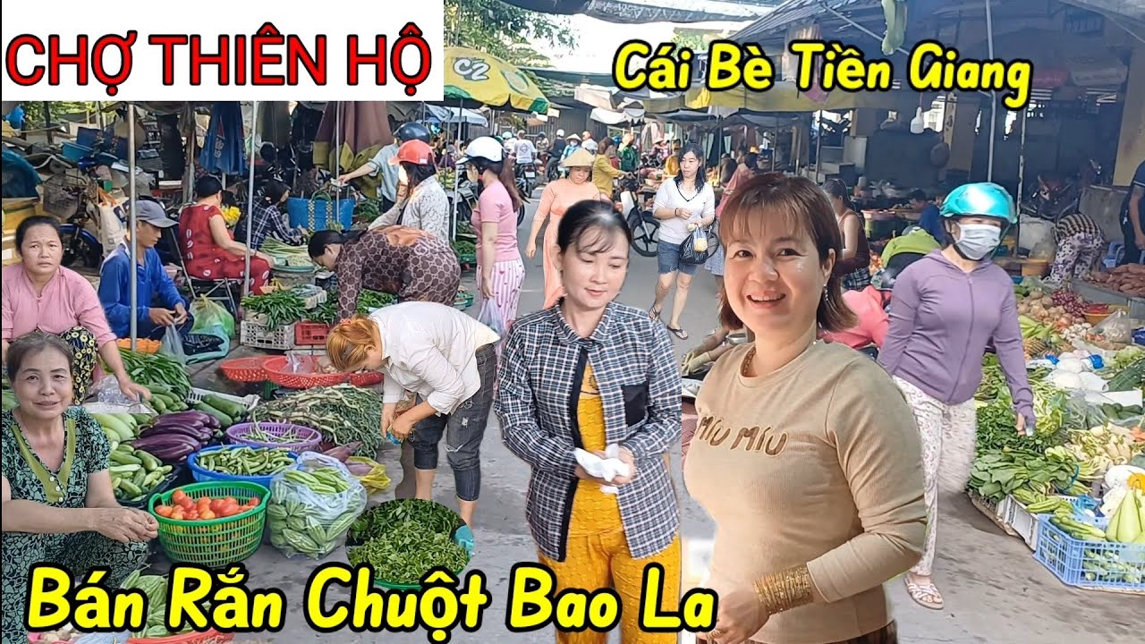 Quá nhiều Rắn Chuột đồng - Chợ Thiên Hộ  - Cái Bè Tiền Giang bà con bán toàn đồ đồng tươi ngon