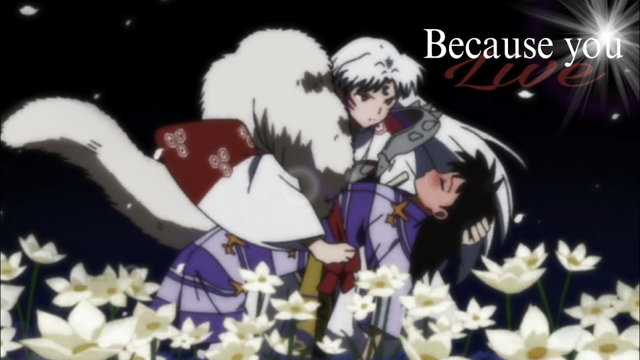 Sessrin AMV  Because you live