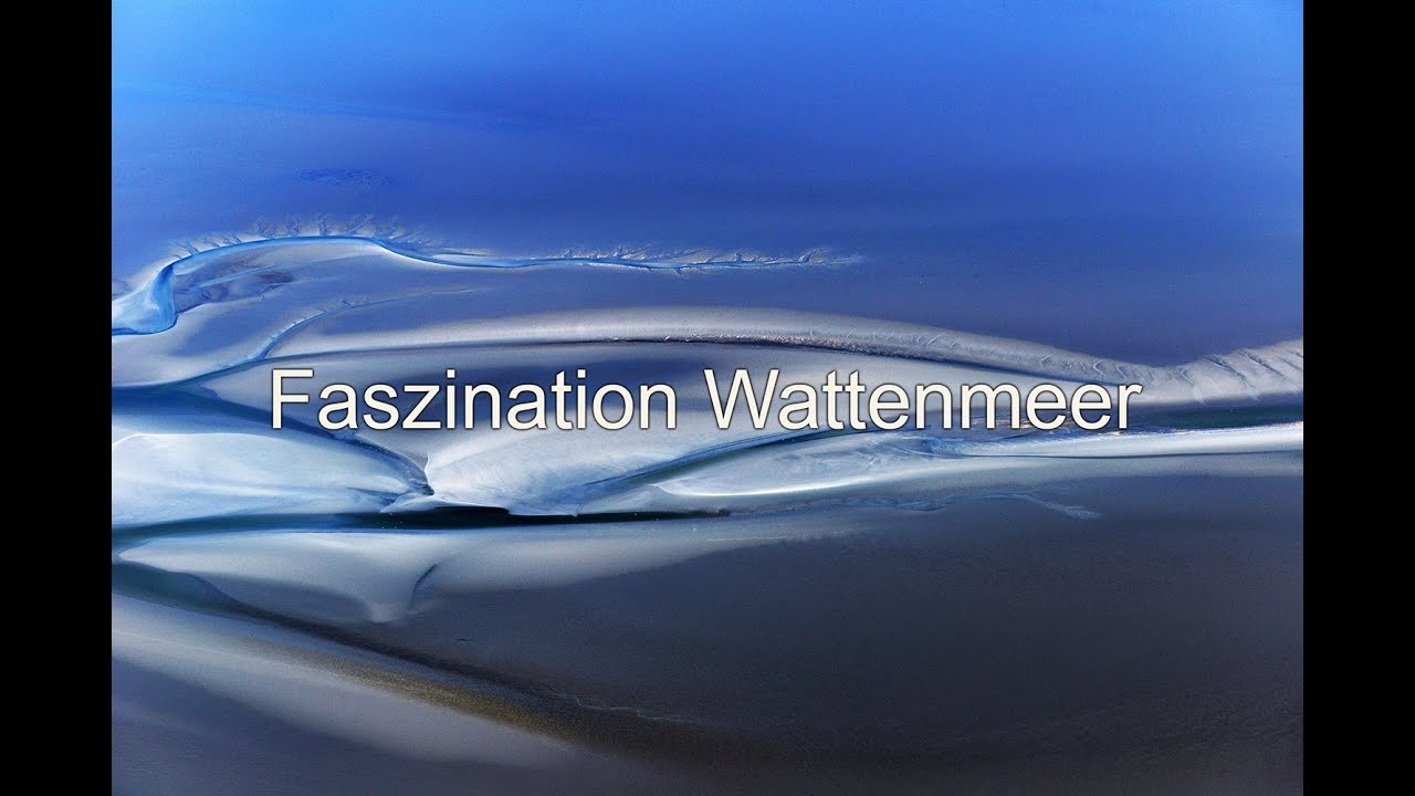 Faszination Wattenmeer 2