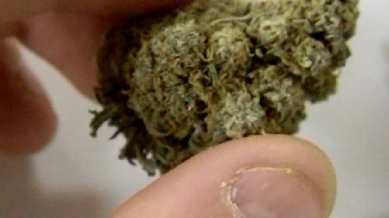 Indoor Kind Bud aka Beasters macro bud shot