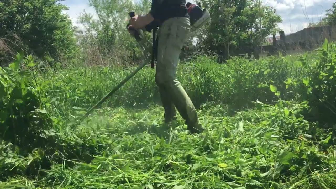 STIHL FS 260c perfect brushcutter ‼️ favorite brushcutter✅