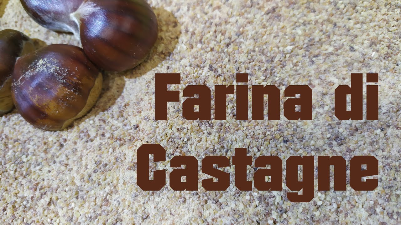 Farina di castagne fatta in casa Come fare la farina di castagne
