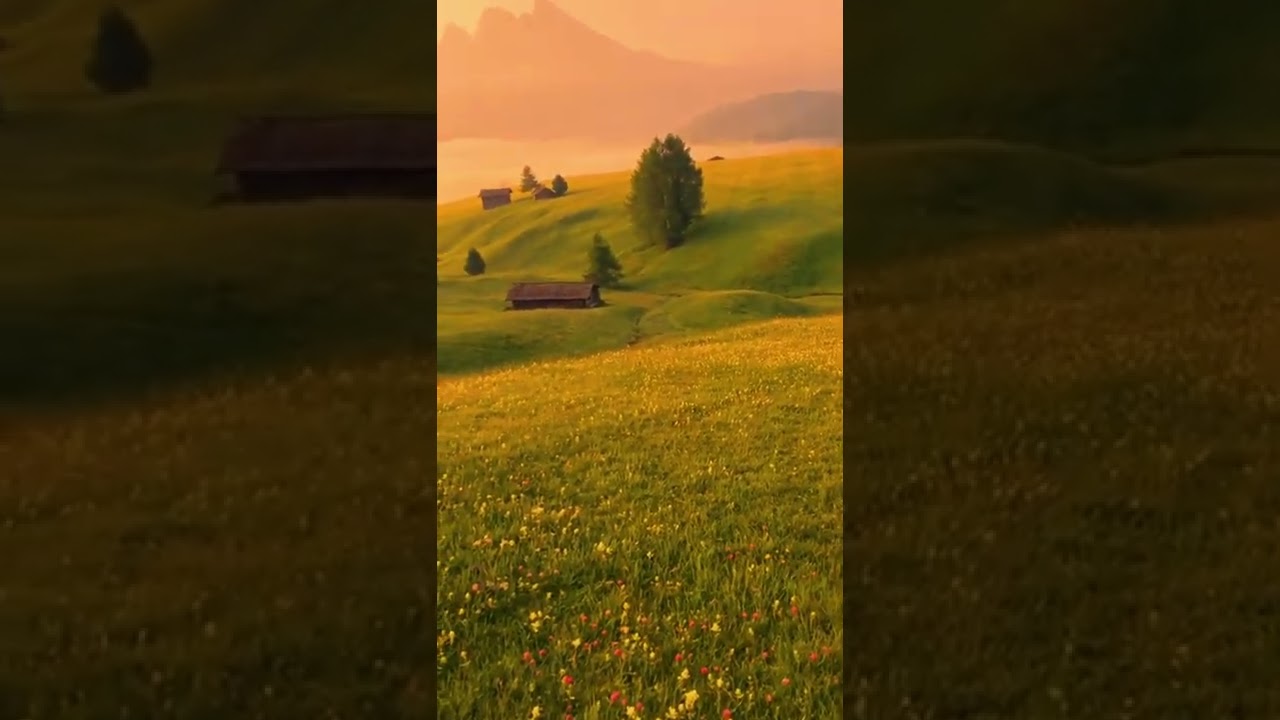 Everyone has a fairy tale world in their hearts #healing scenery