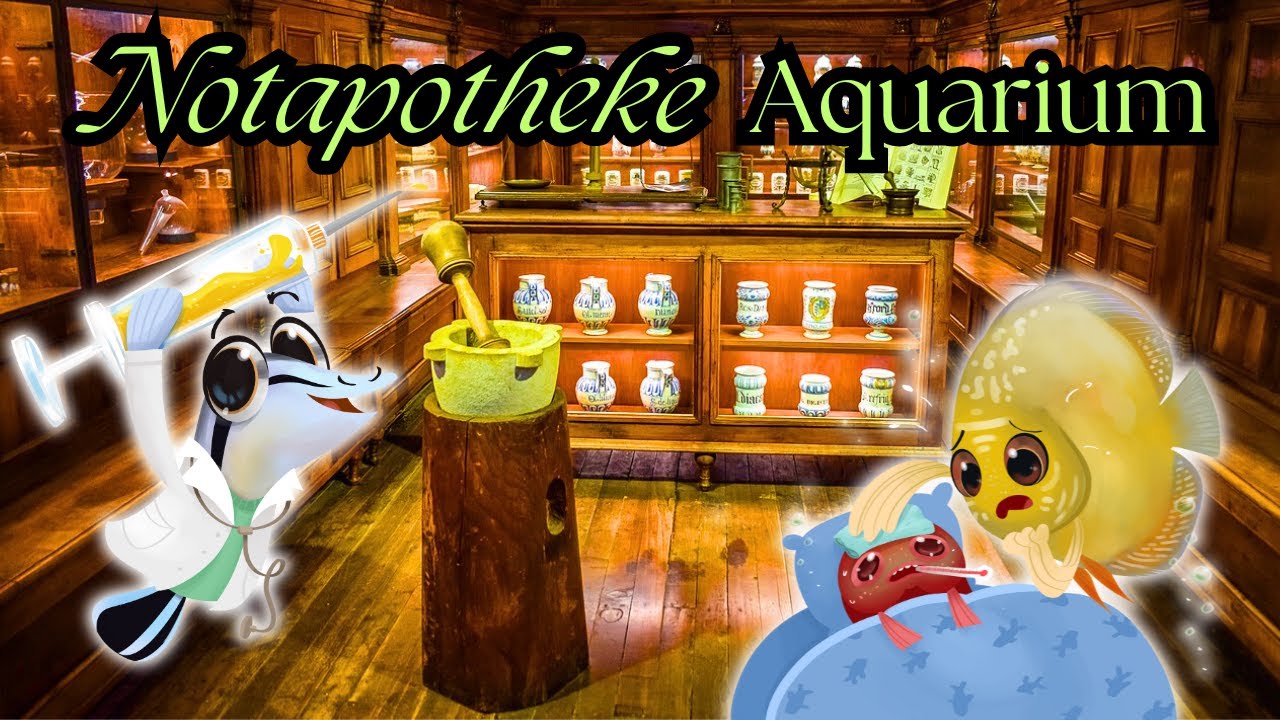 NOTAPOTHEKE AQUARIUM I das solltest du unbedingt immer zuhause haben