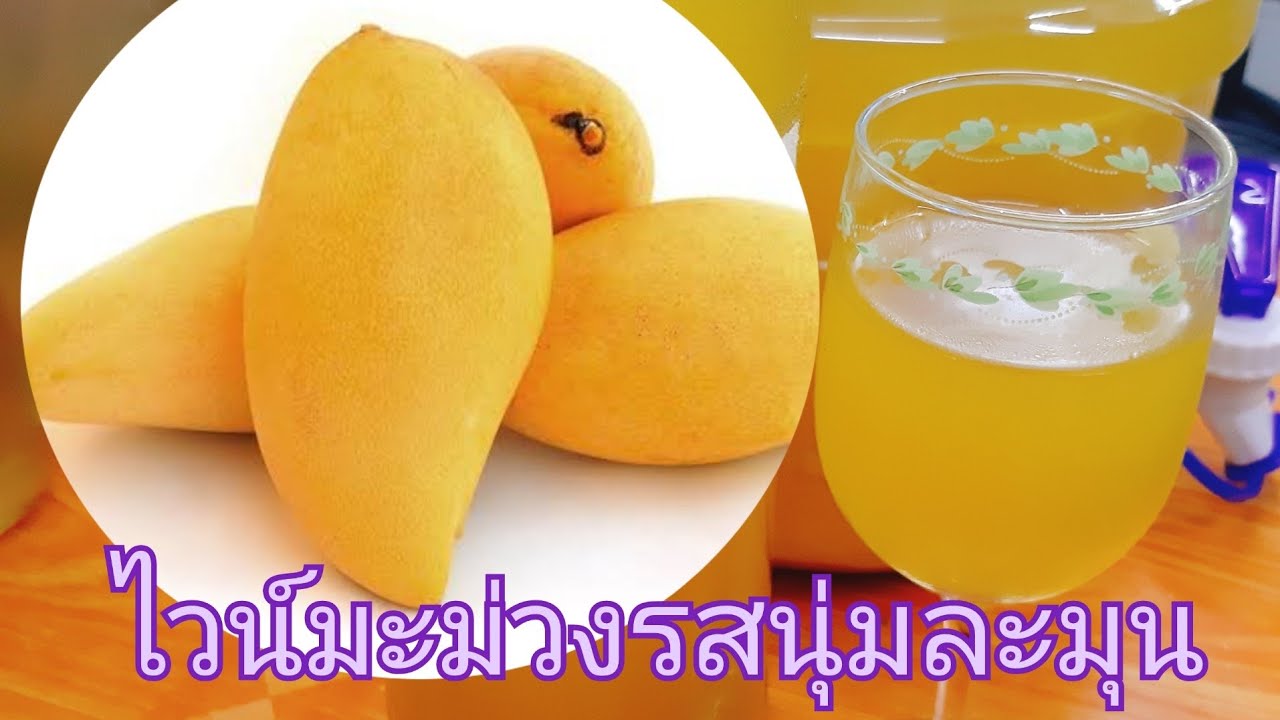 #ไวน์มะม่วงmango wine ep.249