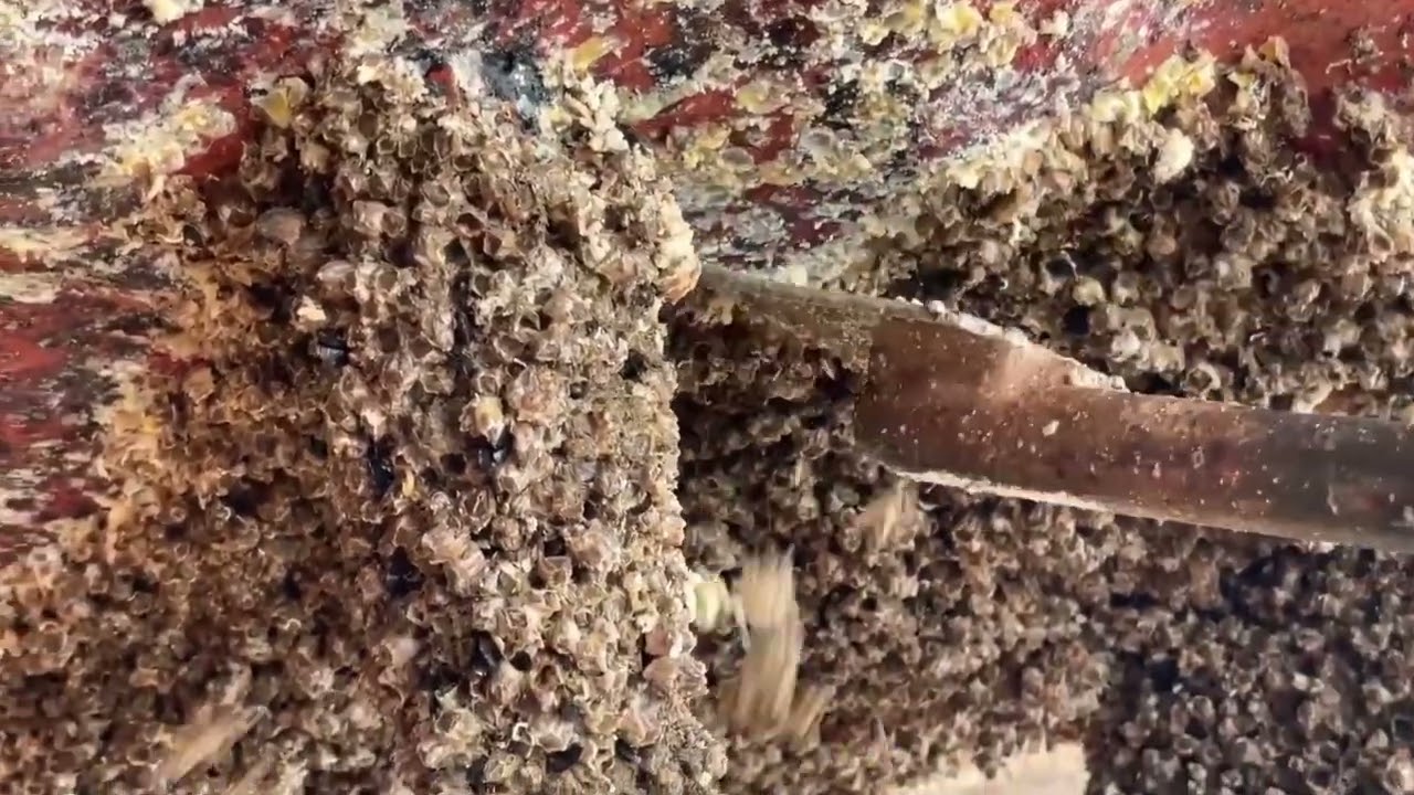 Removing Barnacles from Boat Bottom