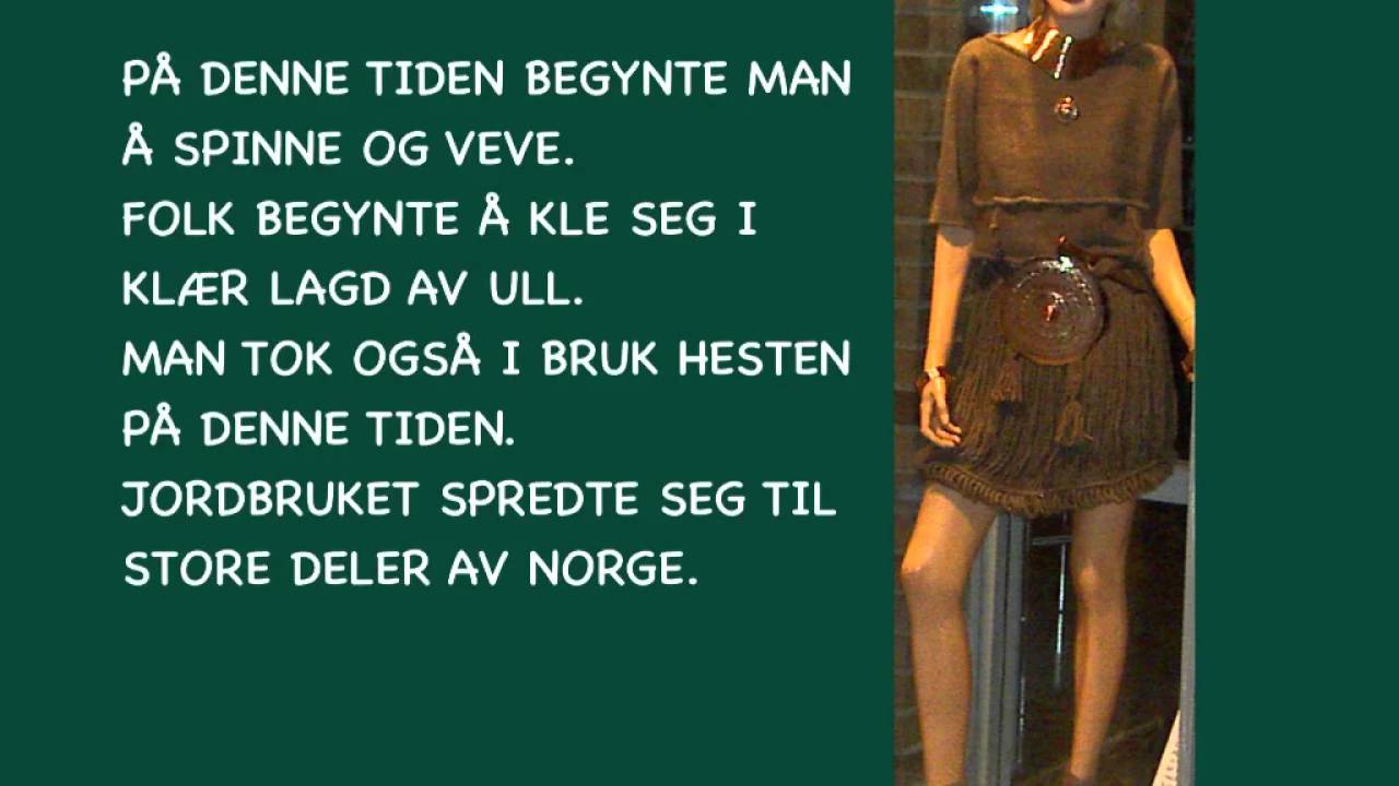FRA STEINALDER TIL JERNALDER