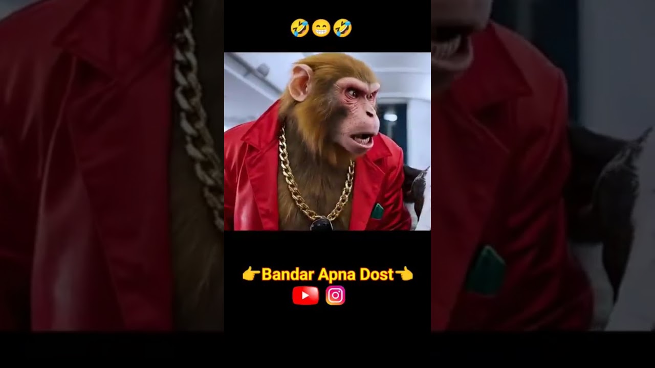 bunder aaya flat me gay konahlane 