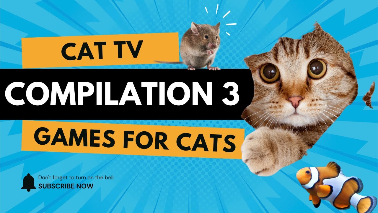 Ultimate Cat TV  | 3D Games for Cats Compilation 3 🐾🐱 | No Ads 4K
