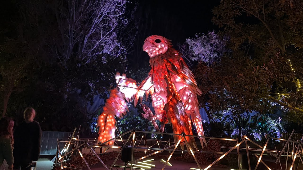 (🔴) Live! Light Creatures “A wild night of adventure” | Illuminate2023, SA 🇦🇺