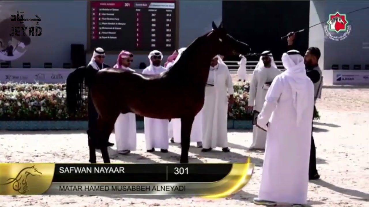 SAFWAN NAYAAR