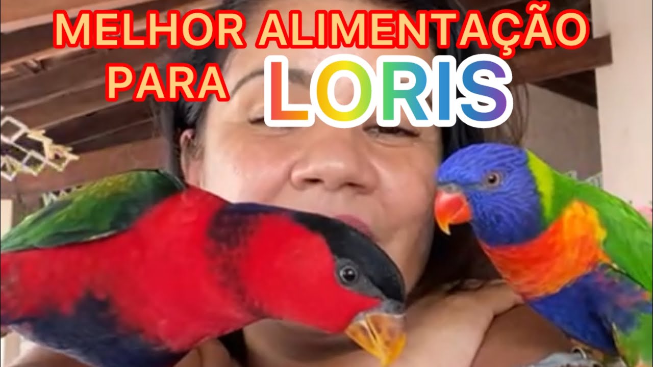 ALIMENTAÇÃO DO LORIS BAILARINO E MOLUCANO.