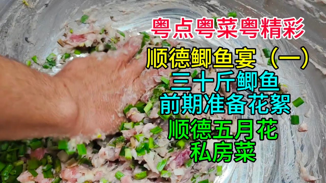 粤点粤菜粤精彩，顺德鲫鱼宴（一），三十斤鲫鱼前期准备花絮，顺德五月花私房菜，粤语中字幕2025-2-21