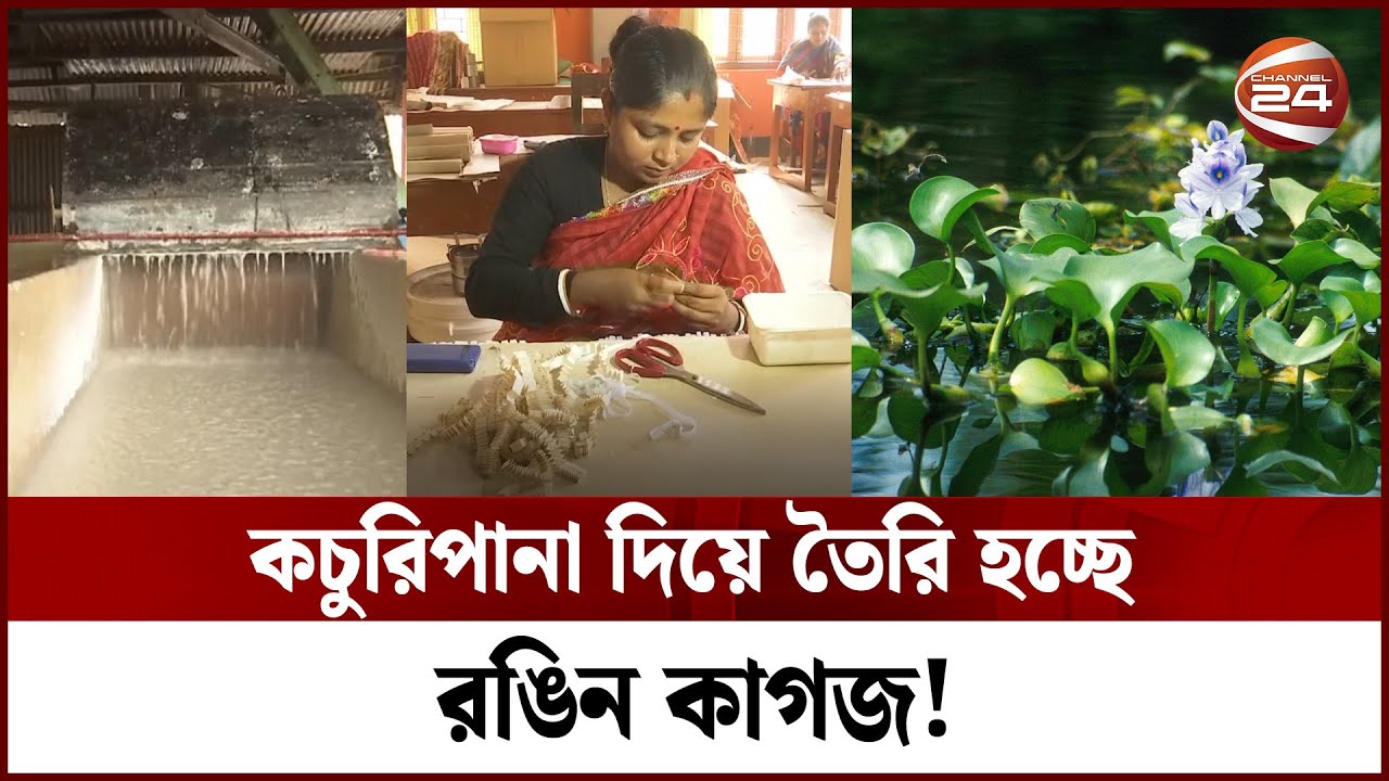 কচুরিপানার তৈরি কাগজ দিয়ে বানাচ্ছেন বাহারি পণ্য ও উপহারসামগ্রী | Barishal | Kachuripana | Channel 24