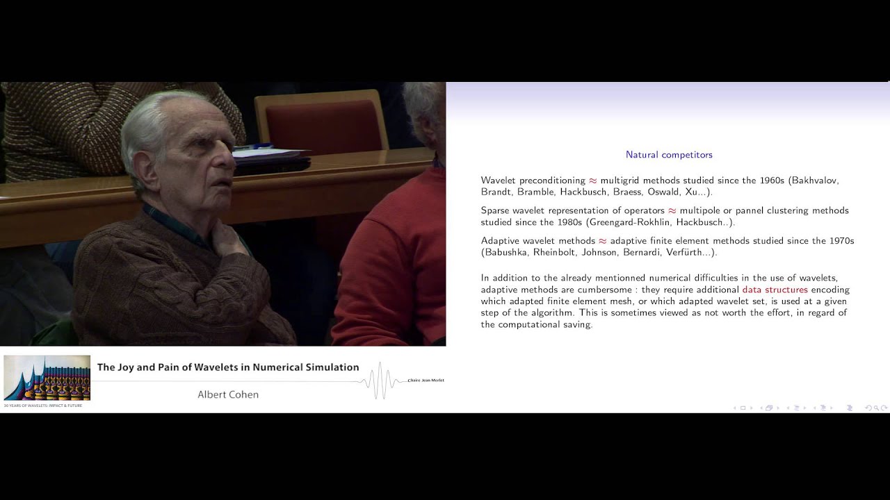 Albert Cohen: The joy and pain of wavelets in numerical simulation
