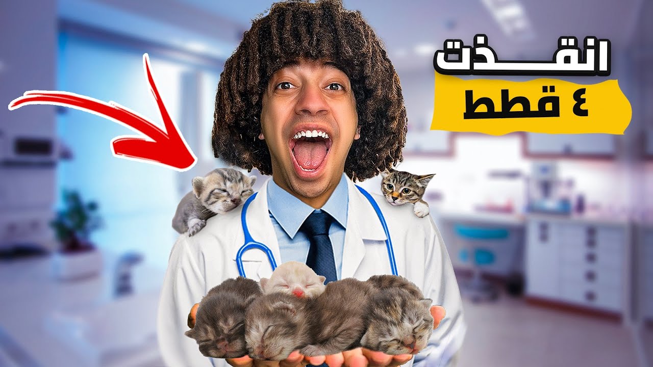 انقذت 4 قطط رضع من الهلاك ( امهم دهستها سياره )