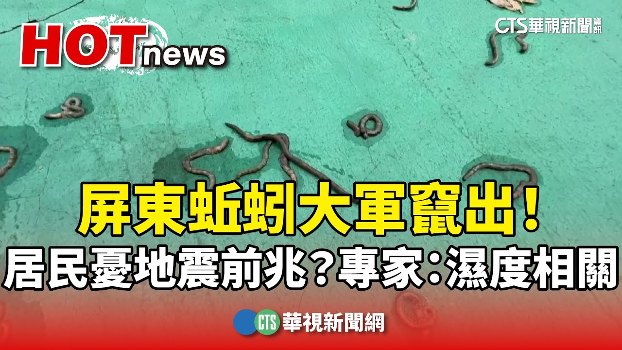 蚯蚓大軍竄出！屏東居民憂地震前兆？　專家：濕度相關｜華視新聞 20241028 @CtsTw
