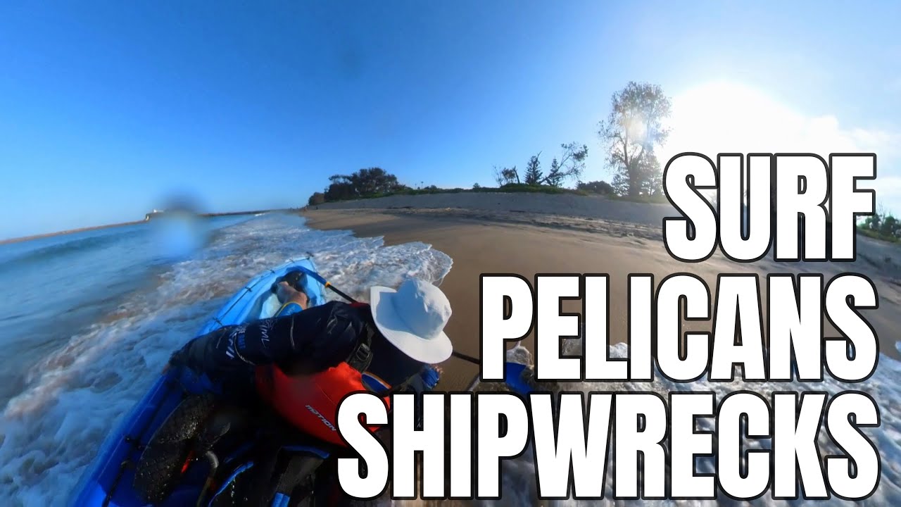 Surf, Pelicans, Shipwrecks on Newcastle Harbour