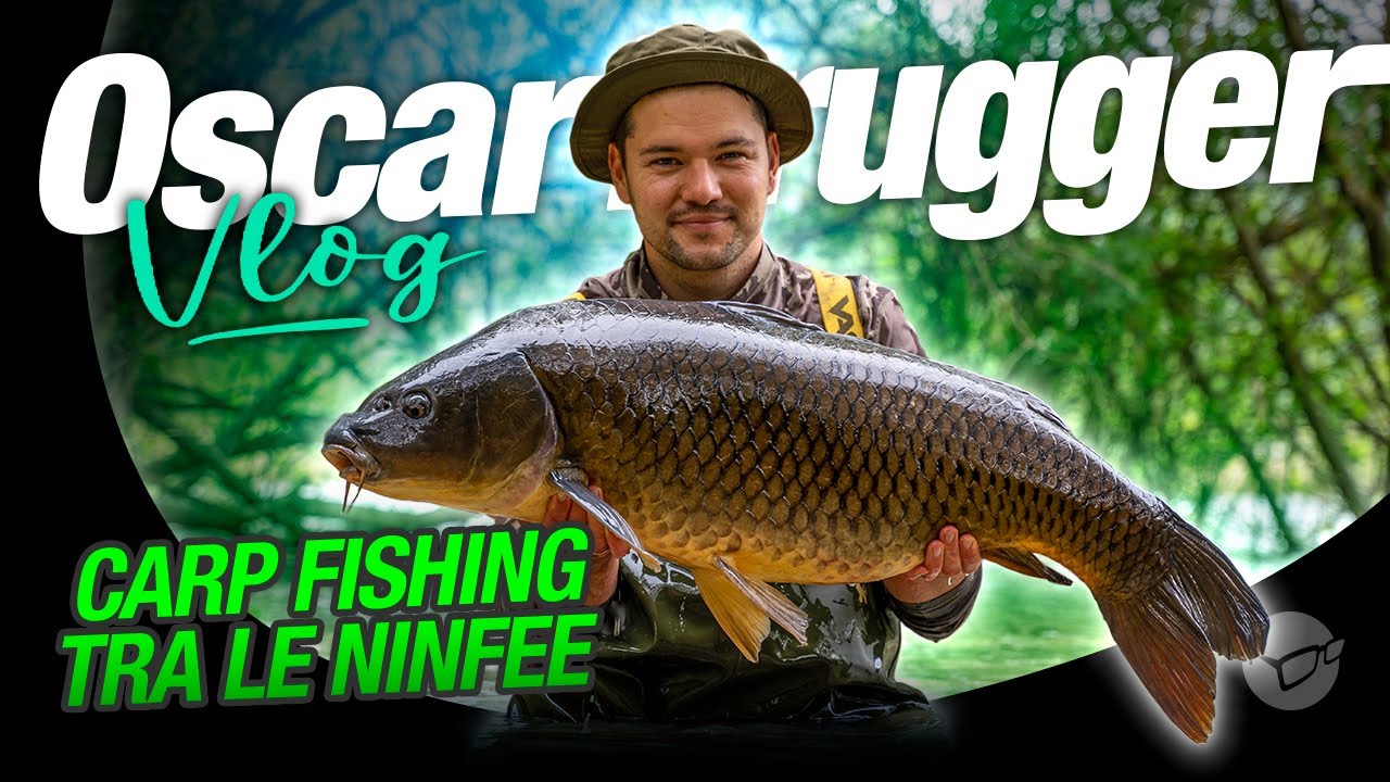 Carpfishing tra le ninfee 🌺🌿 Una sessione difficile 😩 - Oscar’s iPhone Vlog | Carpfishing