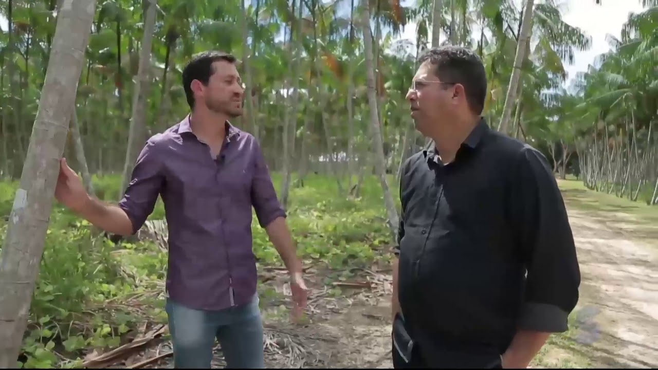 Produtor fala da rentabilidade do Açaí