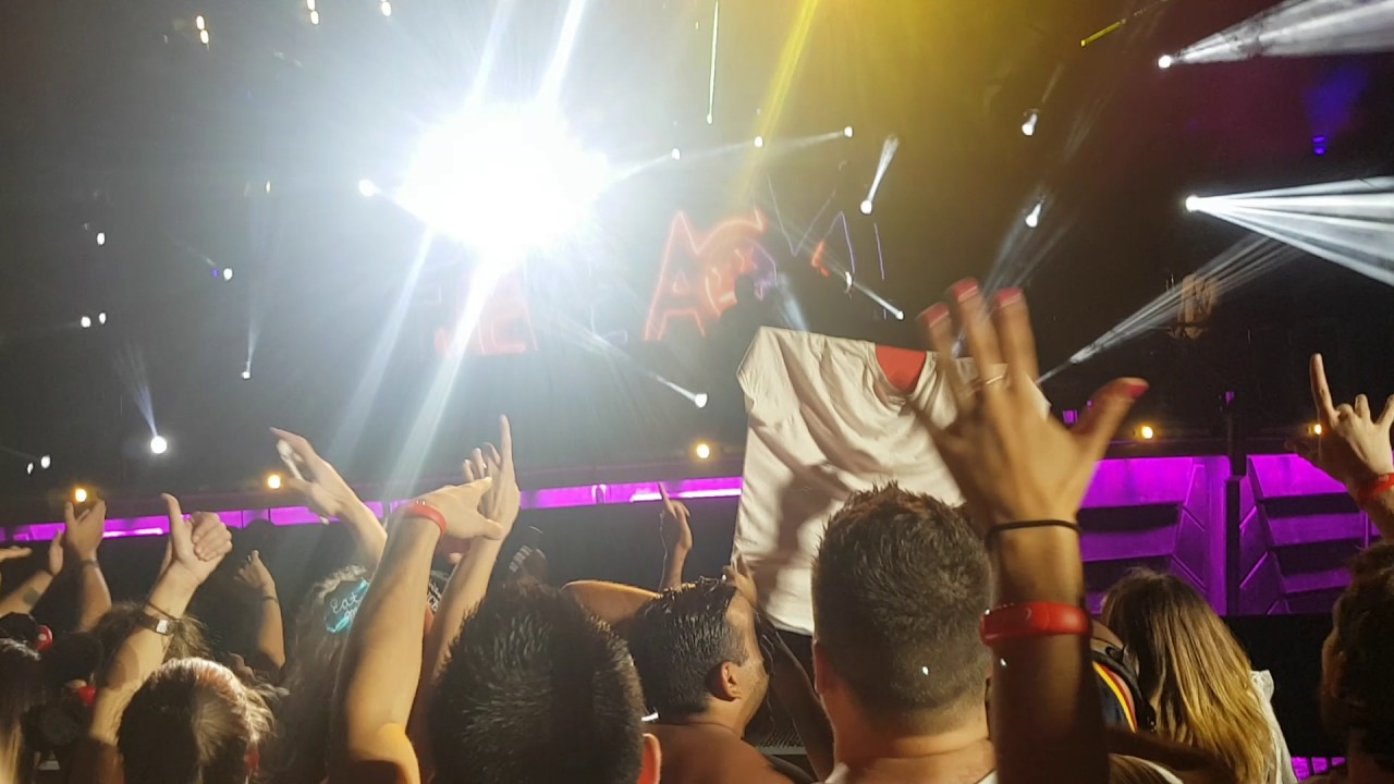Electroland 2017 steve AOKI