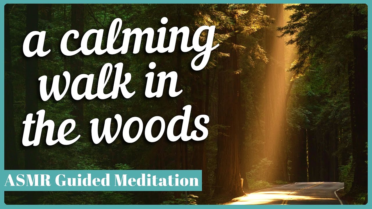 Guided Visualization Meditation: A Calming Forest | [Stress Relief] [Relaxation] [Binaural]