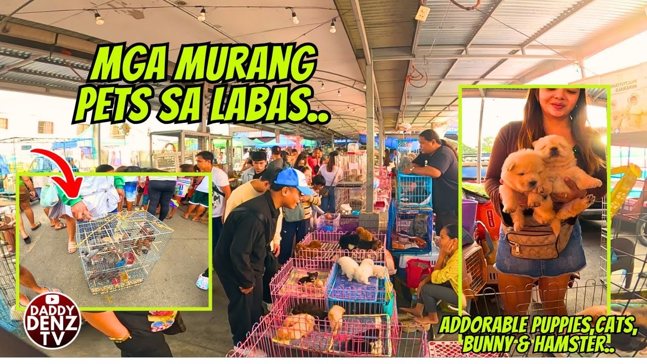 FUR BABIES NA BAGAY SAYO.. / PT.2  JAN. 25, 2026 @GROTTO PETS & LIVESTOCK MARKET