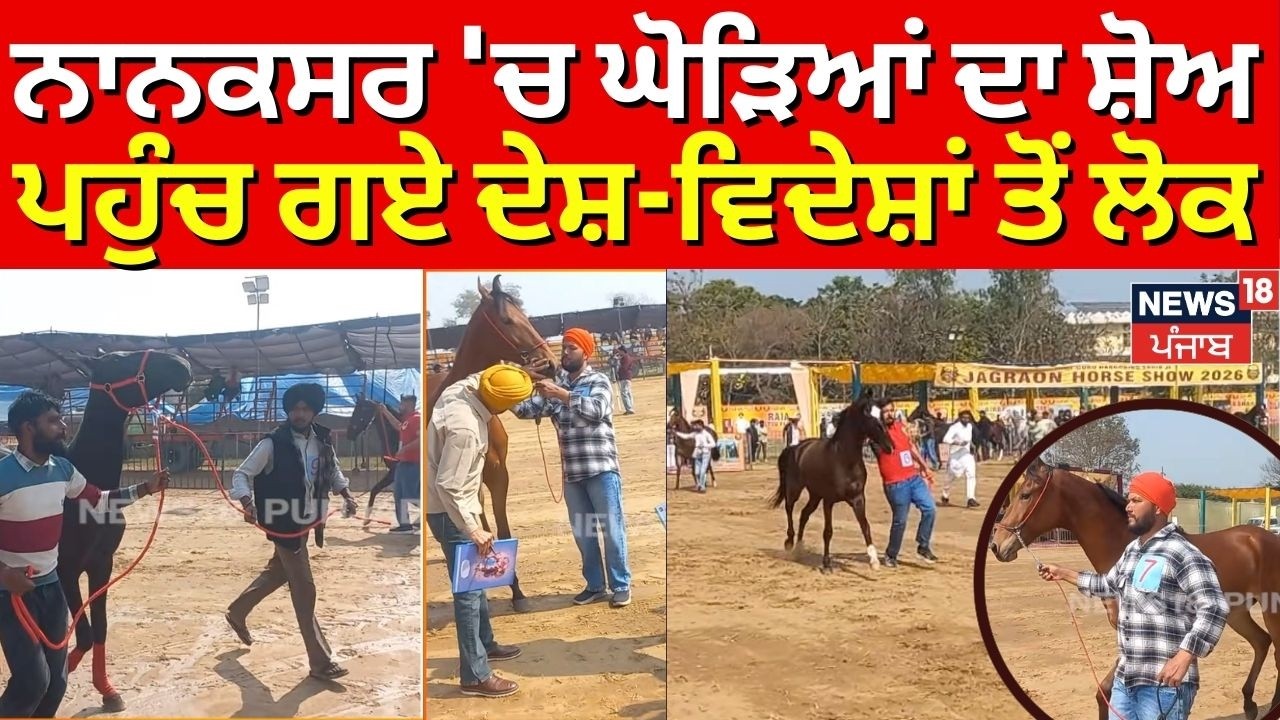 Jagraon Horse Show | ਨਾਨਕਸਰ 'ਚ ਘੋੜਿਆਂ ਦਾ ਸ਼ੋਅ, ਪਹੁੰਚ ਗਏ ਦੇਸ਼-ਵਿਦੇਸ਼ਾਂ ਤੋਂ ਲੋਕ | N18V