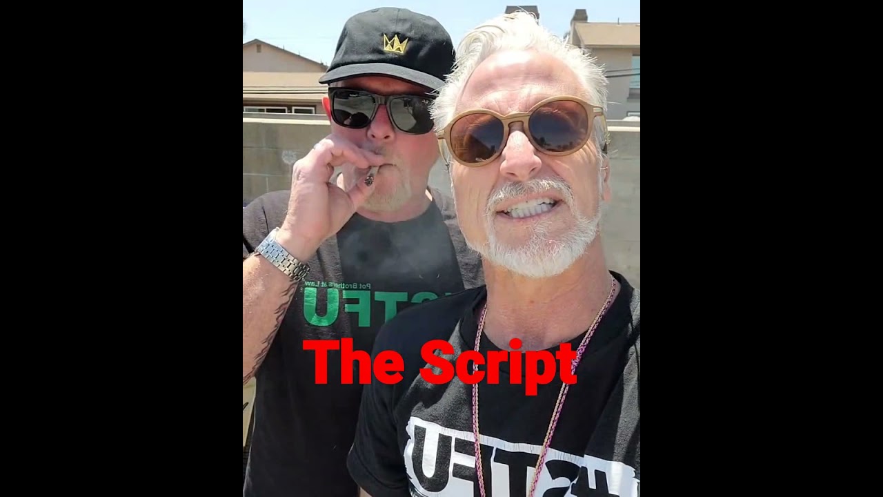 POT BROTHERS AT LAW THE Script #potbrothersatlaw #stfu