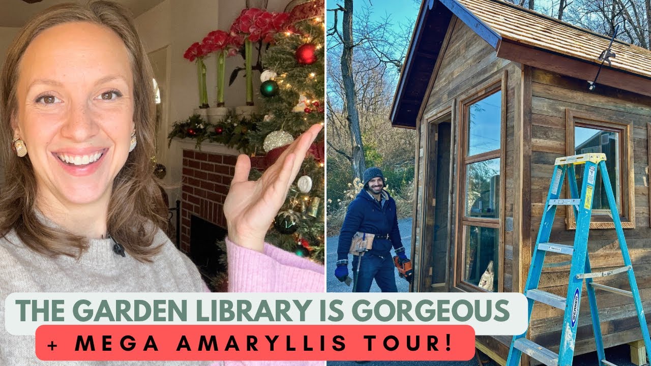 Amaryllis Tour & Garden Library Update!! TONS of Amaryllis Flowers in Bloom & Cottage Delivery SOON!