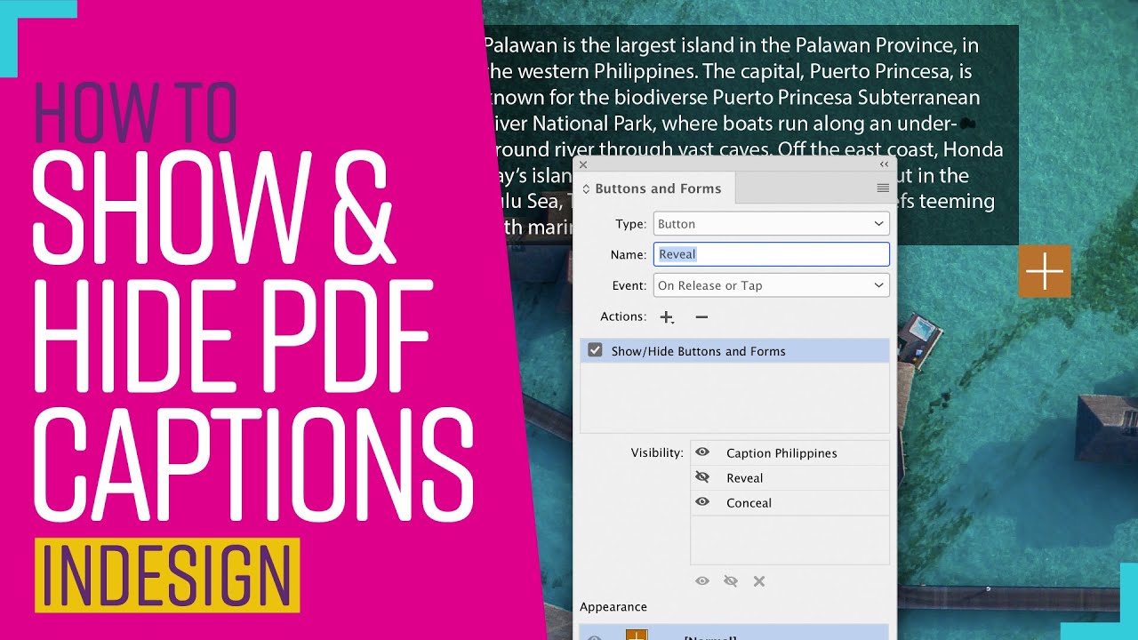 Create interactive show/hide captions in indesign