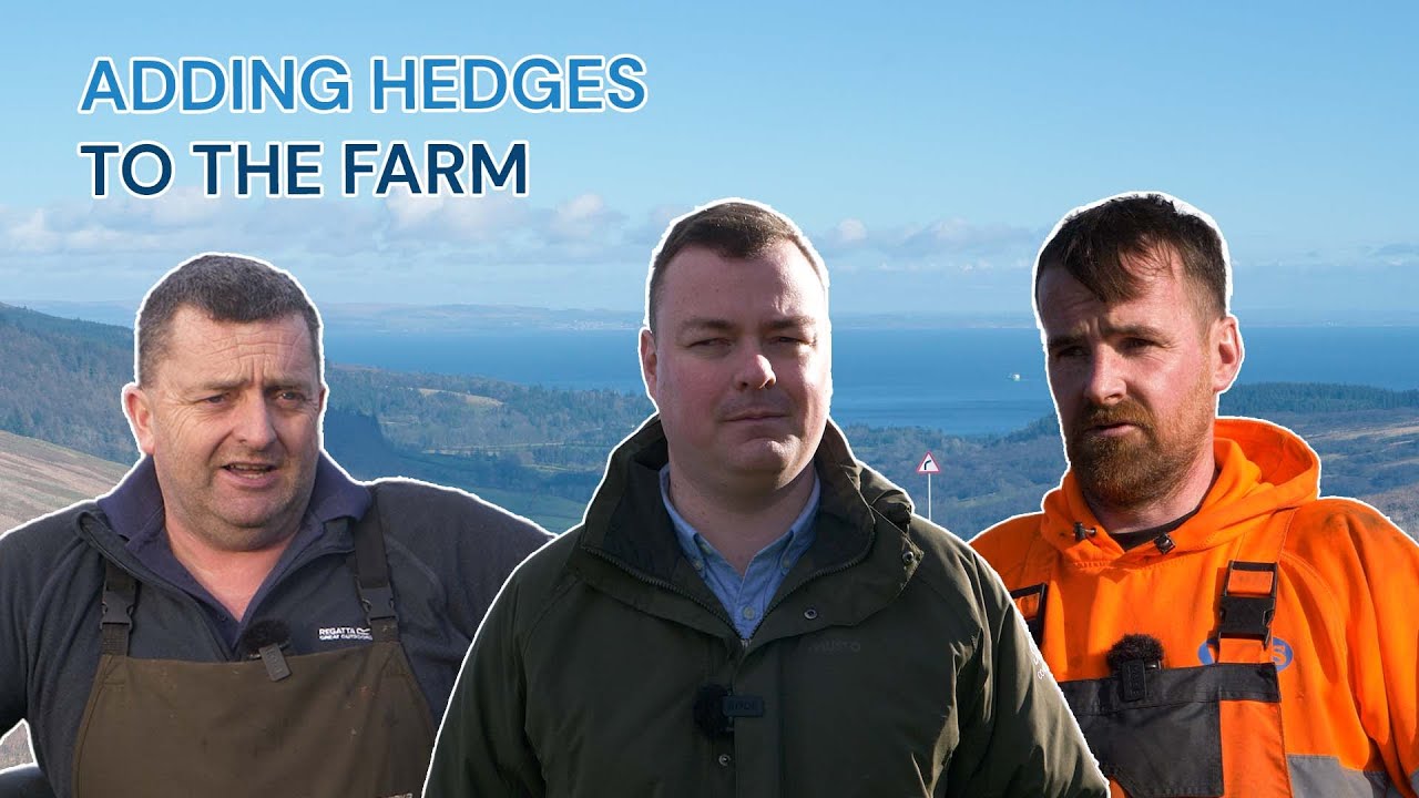 FAS TV S2 E27: Hedges on Arran