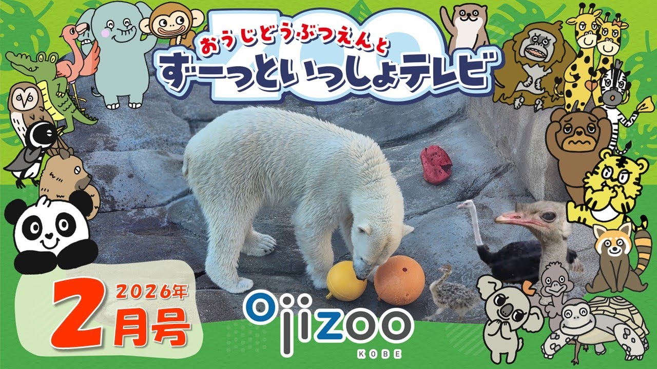 「ゆめ」と「ウメ＆マツコ」に会いたい！！【＃35 おうじどうぶつえんとずーっといっしょテレビ】（2026年2月放送）