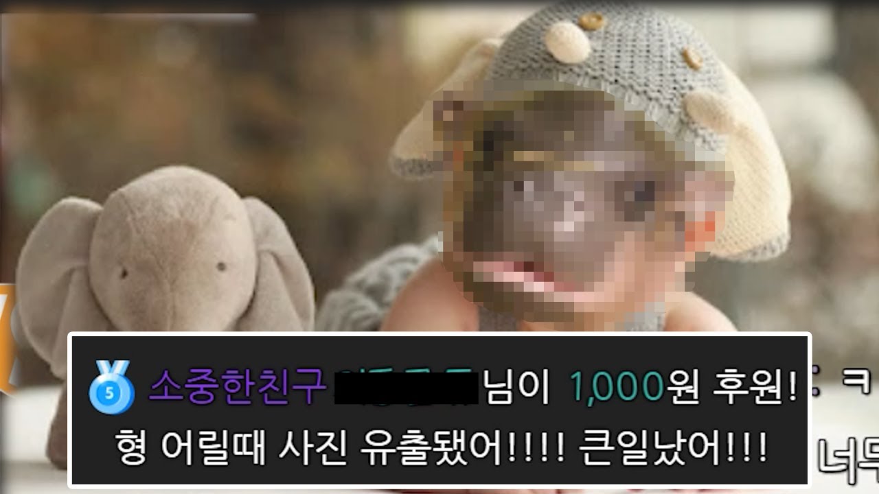 창조신이 대충만든 새끼동물 월드컵