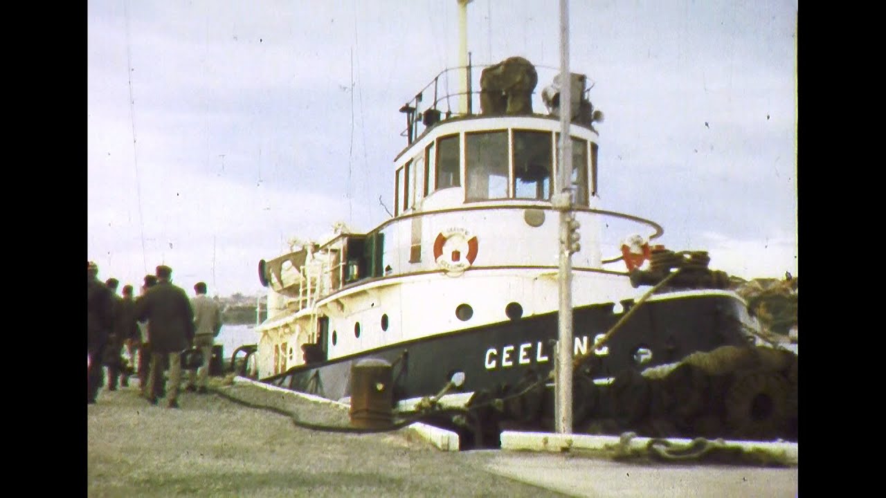 Geelong's M'Name