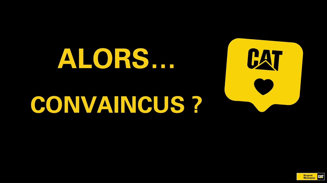Le diagnostic à distance par Bergerat Monnoyeur
