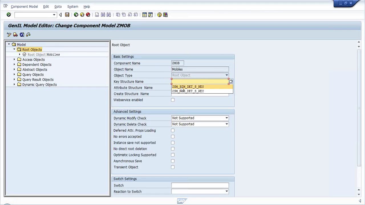 SAP CRM Technical Development Programming Tutorials