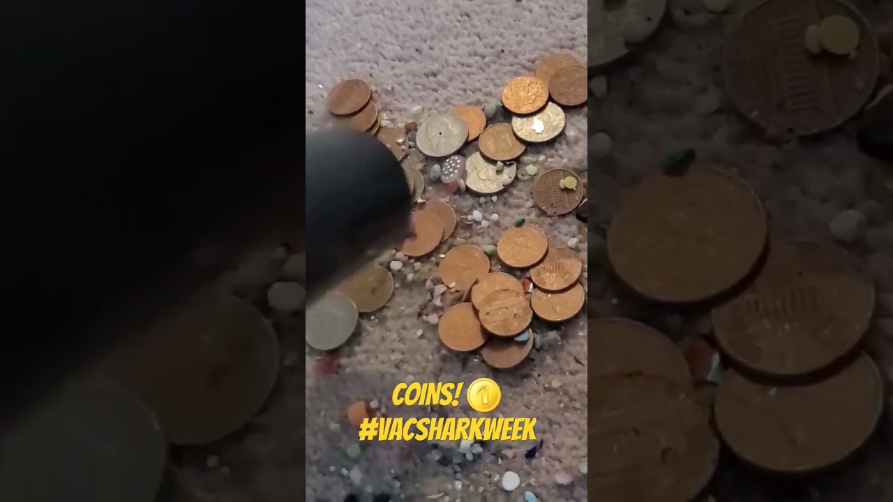 NEW! COINS! SHARK METAL WAND, CLINKS!#VacSharkWeek #SharkWeek #oddlysatisfying #vacuumingasmr