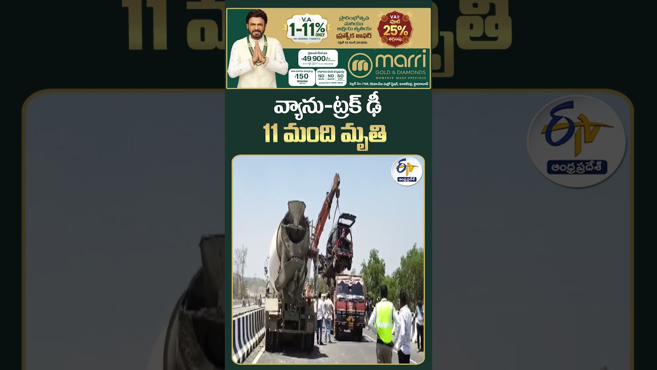 11 Dead in Thane Road Accident