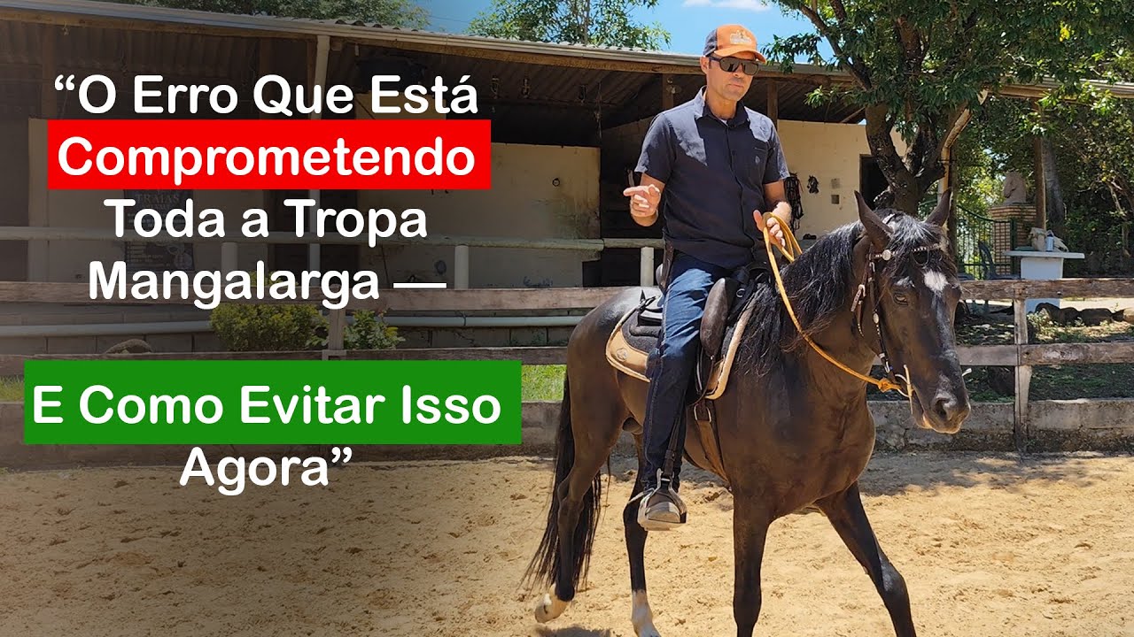 O Erro Que Está Prejudicando a Tropa Mangalarga — Muitos Treinadores Fazem Isso!