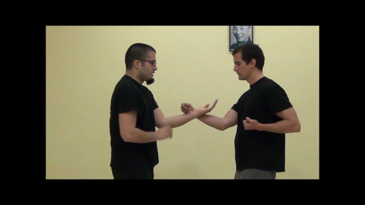 Wing Chun Kungfu - doan chi sao