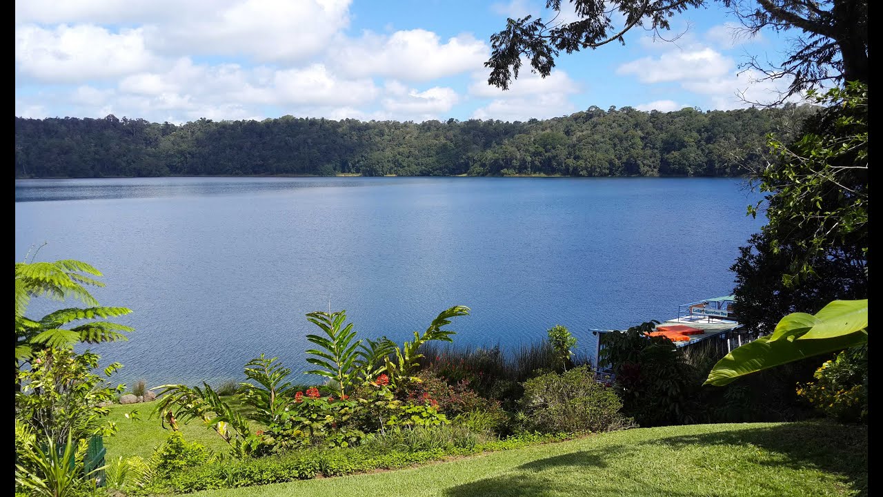 Virtual Treadmill Walk - Lake Barrine Rainforest Track - Far North Queensland, Australia